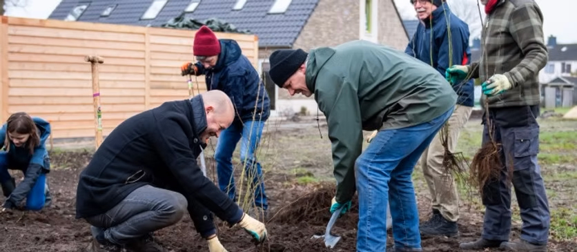 b6c99d_2948b34ef0e04ffa8f549e312927402b~mv2